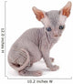 Sphynx kitten Wall Decal