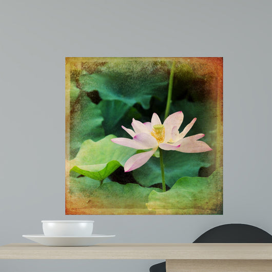 Lotus 