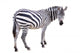 Zbre Zebra 