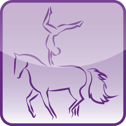 Icone Vaulting - Vaulting Wall Decal