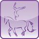 Icone Vaulting - Vaulting Wall Decal