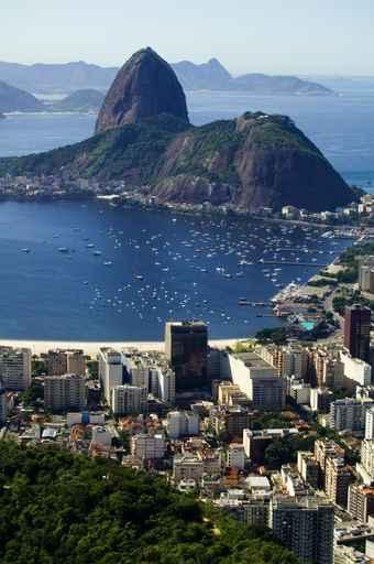 Botafogo Bay Wall Decal Design 1