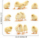 Yellow Baby Chickens Wall Stickers