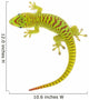 Madagascar day gecko on white background. Wall Decal