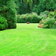 beautiful summer garden with large green lawns 