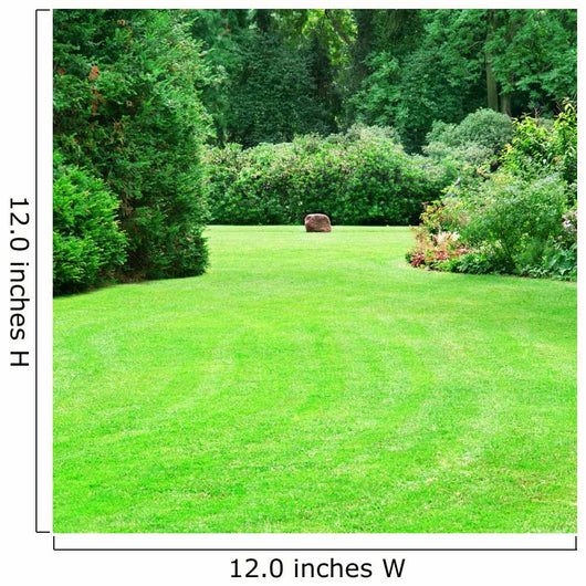 beautiful summer garden with large green lawns 