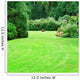 beautiful summer garden with large green lawns 