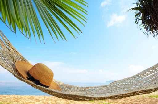 Among Palms Wall Decal