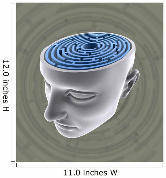 Confused Mind. The labyrinth inside the head. 