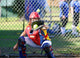 Fastpitch Softball Catcher Wall Mural