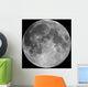 Full Moon Wall Mural