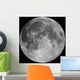 Full Moon Wall Mural