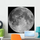 Full Moon Wall Mural