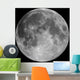 Full Moon Wall Mural