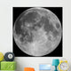 Full Moon Wall Mural
