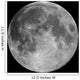 Full Moon Wall Mural