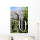 elephant Wall Mural