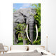 elephant Wall Mural