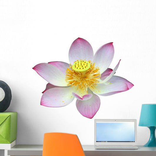 lotus flower head Wall Decal
