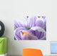 crocus macro Wall Mural