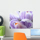 crocus macro Wall Mural