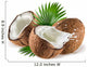 Coconuts with milk splash and leaf on white background 
