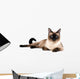 Siamese cat Wall Decal