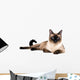 Siamese cat Wall Decal