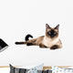 Siamese cat Wall Decal