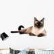 Siamese cat Wall Decal
