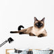 Siamese cat Wall Decal