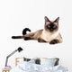 Siamese cat Wall Decal