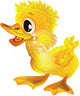 Duck Wall Decal