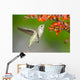 Annas Hummingbird feeding on Crocosmia Flowers Wall Mural