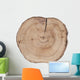 Juniper texture Wall Decal