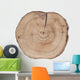 Juniper texture Wall Decal