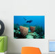 Diver Floating over Coral Wall Decal