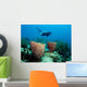 Diver Floating over Coral Wall Decal