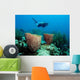 Diver Floating over Coral Wall Decal