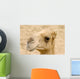 The Camel Wall Mural