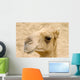 The Camel Wall Mural
