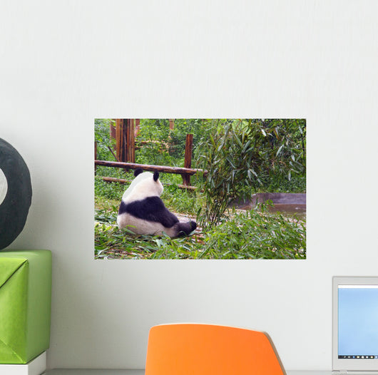 Bear in Morning Contemplation Wall Mural