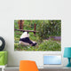 Bear in Morning Contemplation Wall Mural