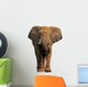 African Elephant White Wall Decal