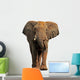 African Elephant White Wall Decal