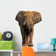 African Elephant White Wall Decal