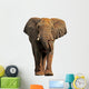 African Elephant White Wall Decal