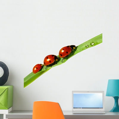 Family Ladybugs Green Leaf Wall Decal shown on a wall