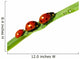 family of ladybugs on green leaf Wall Decal