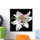 White Lily Wall Mural